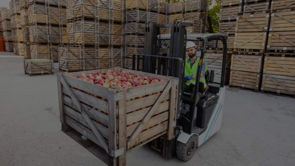 Side Apple Container Forklift