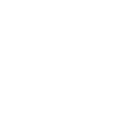 BMW logo, a GPX tracking customer