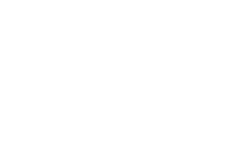 Budget